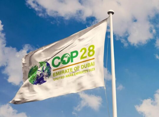 CNA propõe medidas para o Brasil na COP 28