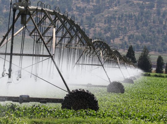 IA e sensores ajudam na estocagem e garantem o uso eficiente da água na irrigação