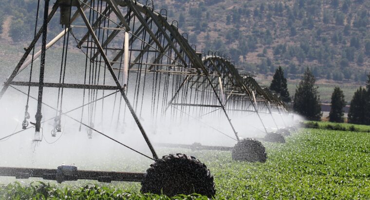 IA e sensores ajudam na estocagem e garantem o uso eficiente da água na irrigação